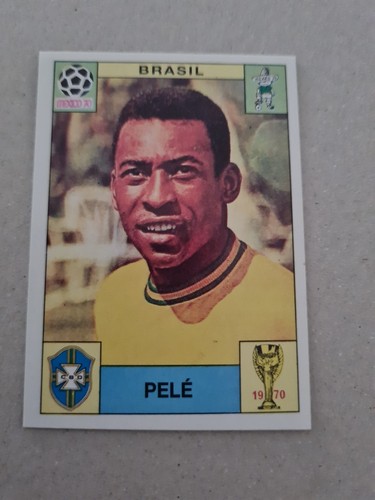 Panini world cup - panini, story