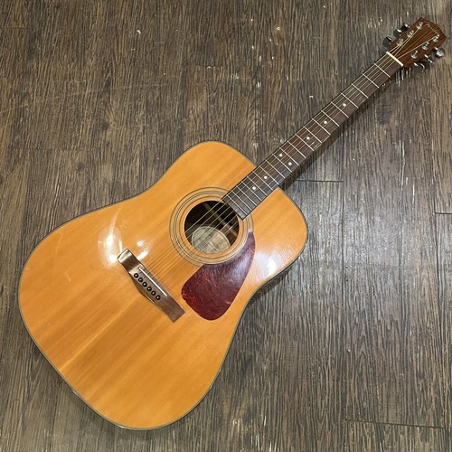 Chitarra acustica fender - chitarra,
