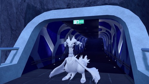 Pokemon reshiram evento - reshiram, "evento"