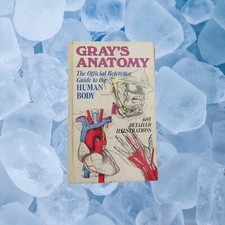 Antique Gray's Anatomy: The