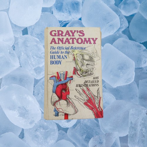 Antique gray anatomy - antique, the