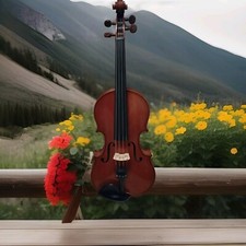 Violino 4/4 ottimo stato, buon
