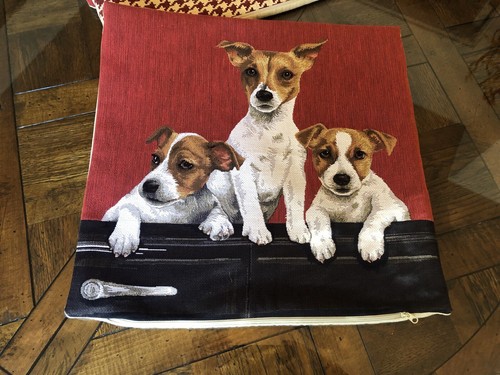 Qualità jack russel jacquard - qualitÀ,
