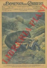 BELTRAME A. - Nel giardino zoologico di Roma un orso assale il guardiano.
