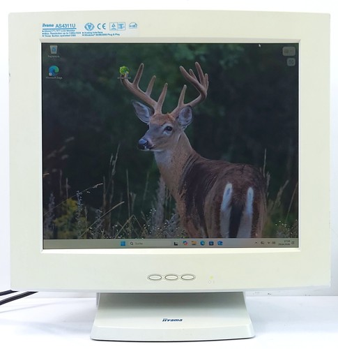 Iiyama pollici vintage - iiyama,