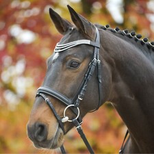 Wembley X-Line Trense Altea