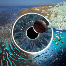 Pulse Vinile Pink Floyd -