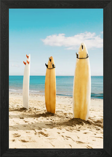 Malibu tavole surf con - malibu, da