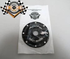 Harley Screamin' Eagle