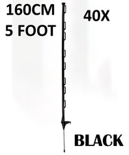 40 x 5 piedi (160 cm)