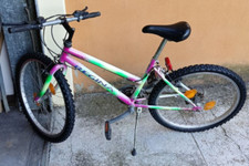 bicicletta mtb Regina per ragazzi. Diametro Ruota 50cm