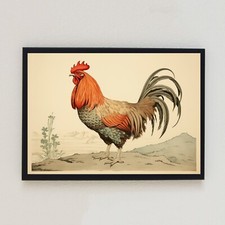 Gallo Vintage Uccellino