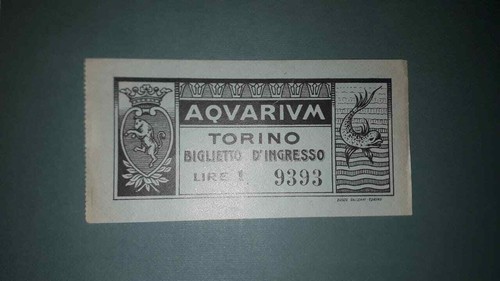 Torino biglietto ingresso - biglietto,