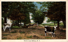 POSTCARD SCEN NEAR RIFTON NEW