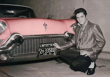 Elvis Presley si accovaccia