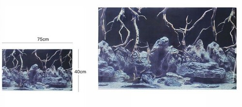 Poster sfondo per acquario - x,