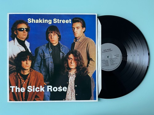 Vinile giri shaking - vinile,