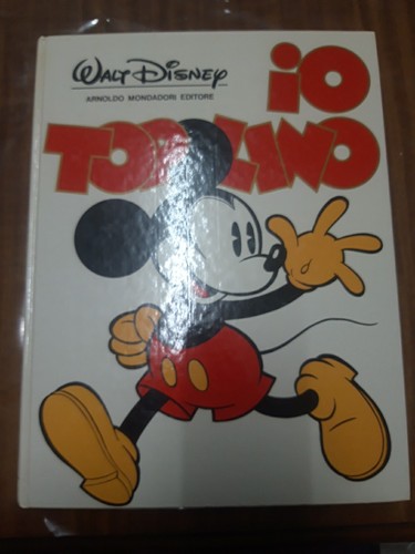 Grande cartonato topolino - io,