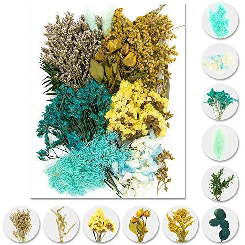 Idattel fiori secchi - fiori,