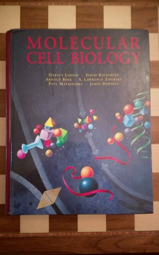 Molecular cell biology - molecular,