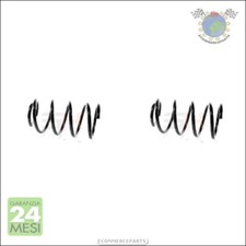 2x molle ammortizzatori gh