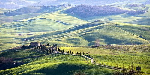 Quadro paesaggio toscano - quadro,