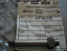 221407 ALBERINO SPINTEROGENO