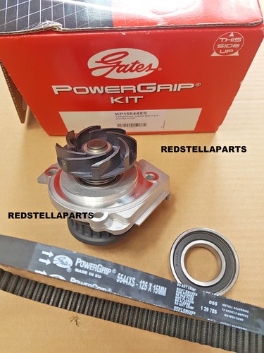 Kit cinghia distribuzione - cinghia,