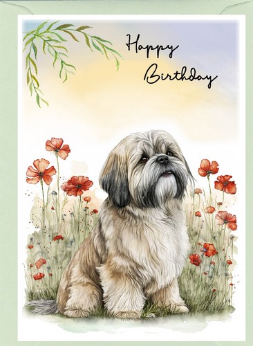 Biglietto compleanno lhasa - compleanno,