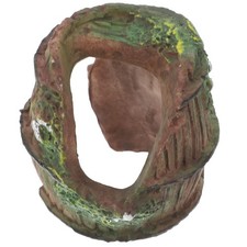 Accessori geco leopardo drago