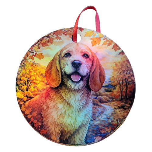Basset fauve bretagne 2 - de,