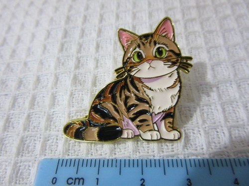 Kitten cat brooch - kitten,