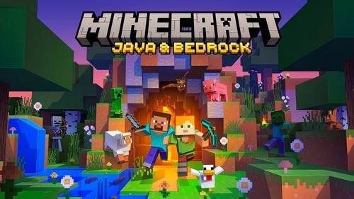 Minecraft java bedrock - java,