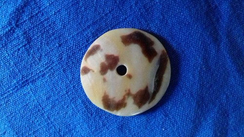 Madreperla australiana - madreperla,