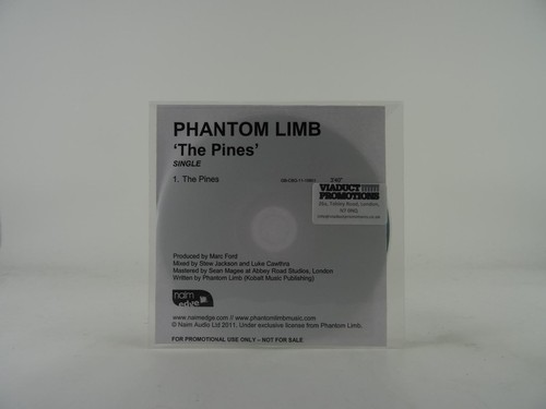 Phantom limb the - the, 1