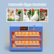 Incubatrice automatica uova