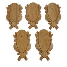 5 Pezzi Targhe Per Trofei