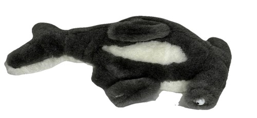 Manley bello squalo martello - squalo,