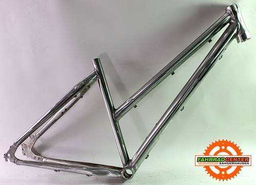 Lupo della steppa - , 28"