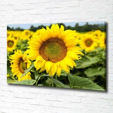 Tulup Dipinto Su Tela Pittura