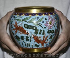 Vaso vaso acquario pesce fiore