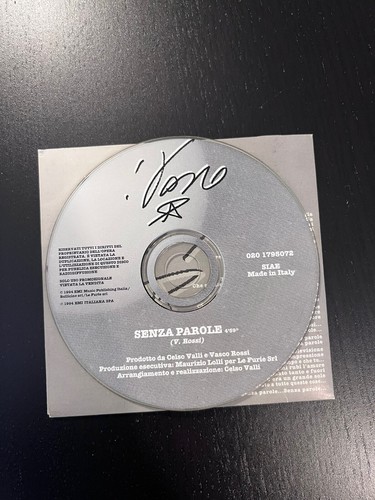 Vasco rossi senza parole - vasco,