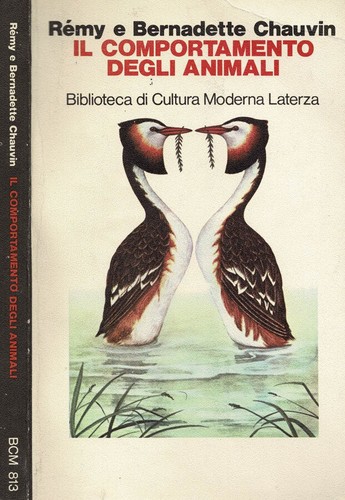 Comportamento degli - il,