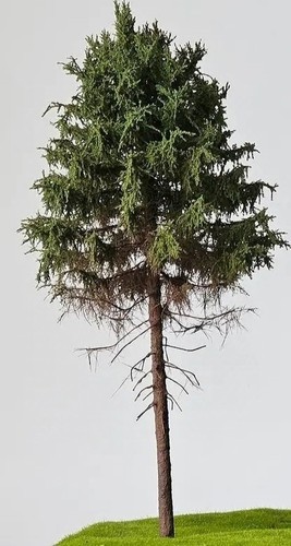 Albero modello h0 larice - 🍀,