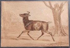 acquerello antico 1830 circa selvaggina cervo daino inglese caccia