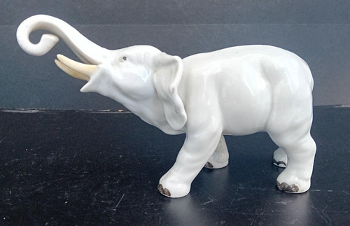 Elefante porcellana bianca - in,