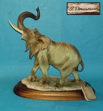 Giuseppe Armani / Capodimonte