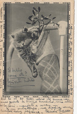 CARTOLINA *97 TEMATICA ANIMALI CANI GATTI CAVALLI LEONI TIGRI VIAGGIATA 1941