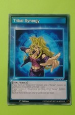 Tribal Synergy SS02-ENCS3
