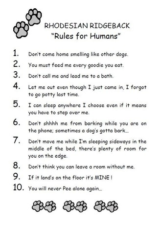 Rhodesian ridgeback rules - rhodesian, "rules
